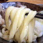 Hanamaru Udon - やや不揃いな麺も 安定の美味しさ