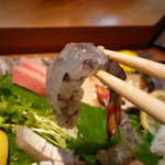 Sushi Masa - ☆車海老ちゃんもキラキラです☆