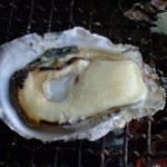 牟田商店 - プリプリの小長井産牡蠣