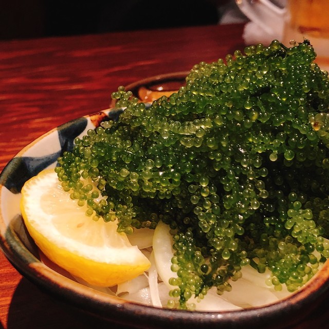閉店 沖縄料理 ちゅらさん家 両国駅前店 ちゅらさんち 両国 沖縄料理 食べログ 閉店 沖縄料理 ちゅらさん家 両国駅前店 ちゅらさんち 両国 沖縄料理 食べログ