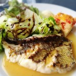 タールムビアンコ - 本日の鮮魚のグリル シークァーサーソース