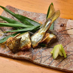 魚喰まつもと - 焼物