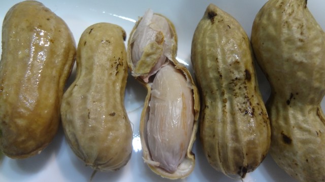 カインズホーム 名古屋堀田店 堀田 名鉄 その他 食べログ カインズホーム 名古屋堀田店 堀田 名鉄 その他 食べログ