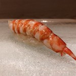 うを徳 - 車海老（握り）