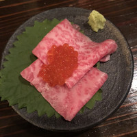 アカミヤコウシ -  アカミヤコウシ -