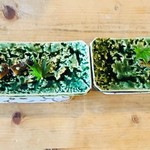 徳山鮓 - ４人前横バージョン♪