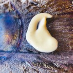 徳山鮓 - 飯ソース