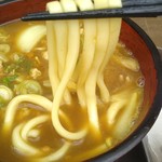 星川製麺 彩 - カレーは、｢南蛮｣タイプ