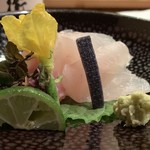 日本料理 たかむら - 秋田産クエ