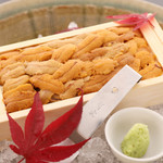 鮨・割烹 いち善 - うに素材