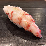 小判寿司 - 葡萄ボタン海老昆布〆