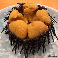 小判寿司 棚倉 - 殻付き海胆