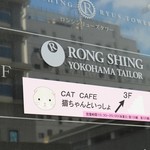 横浜 元町 中華街 猫カフェ 猫ちゃんといっしょ - https://www.with-necochan.com/