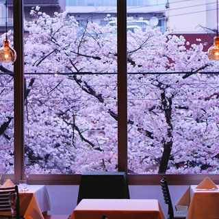 窓の外は、満面の桜！桜の名所・目黒川沿いの2階の店舗