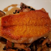 Benoit Alain Ducasse - 赤魚