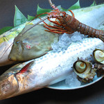 Saikaiseki Higashiurawatakasago - 姉妹都市鴨川から鮮魚