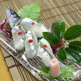 寿の鈴なり館_2