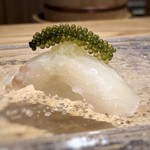 Teruzushi - たまめ鯛（糸島）・・少し水っぽく感じました。