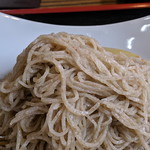 そばのさと - アップです。白と赤っぽい星が飛んでいます。