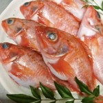 Aduma Zushi - 