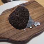 MOTORA  - サマートリュフ