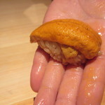 鮨 さかい - 北紫海胆