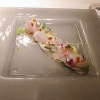 スプレンディード - 