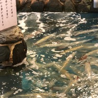 河太郎 中洲本店 - 