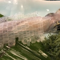 河太郎 中洲本店 - 