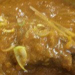 Indo Kare-Namasute - 肉は残念ながら一口サイズの小さなもの