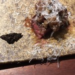 コントワール フー - 