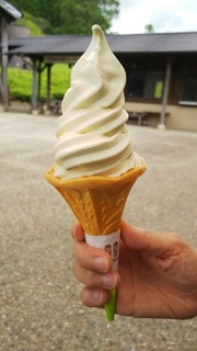 Sarubi No Onsen Kunugiya - わさびソフトクリーム、ミックス
                        かすかな色の違い、分かってもらえるでしょうか