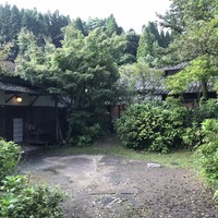 山ごぼう - 