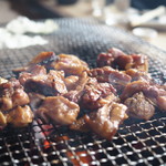 ろばたやき山ろく - 地鶏たれ