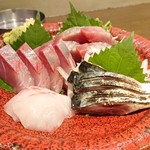 飲んべぇ食堂 らくだ屋 - 刺身盛合せ