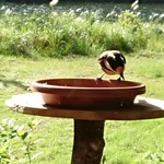 くつきそば 永昌庵 - 