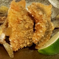 野嵯和 - 