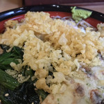 そばの神田 東一屋 - 揚げ玉ブチまけろ！  #BCMKR!