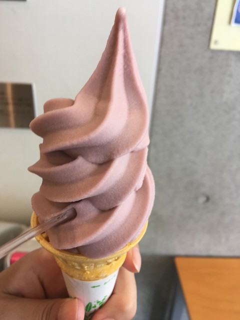 男鹿水族館GAO ミュージアムショップ（オガスイゾクカンガオ ミュージアムショップ） - 男鹿市その他（ソフトクリーム）の写真