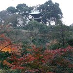 ホテル椿山荘東京 - （2008年12月）紅葉が綺麗なお庭