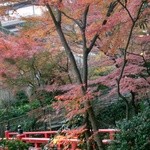 ホテル椿山荘東京 - （2008年12月）紅葉が綺麗なお庭