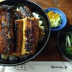 イチビキ - 全容