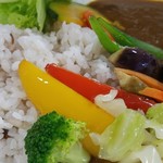 遊佐カレー - ◆「旬の野菜カレー」