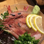 魚人島じんべえ - 