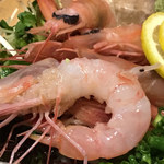 魚人島じんべえ - 