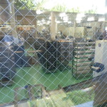 オギノパン 本社工場直売店 - 工場見学３