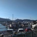 The Backyard - ハーバーは目の前