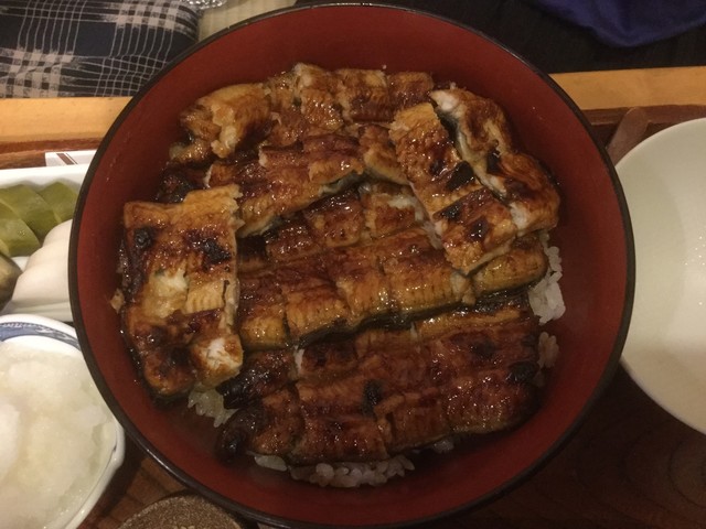 うな清 うなせい 子安 うなぎ 食べログ うな清 うなせい 子安 うなぎ 食べログ