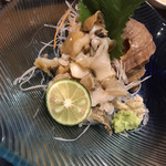 Sennari Zushi - 