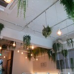 ボタニストカフェ - 照明もかわいいです。